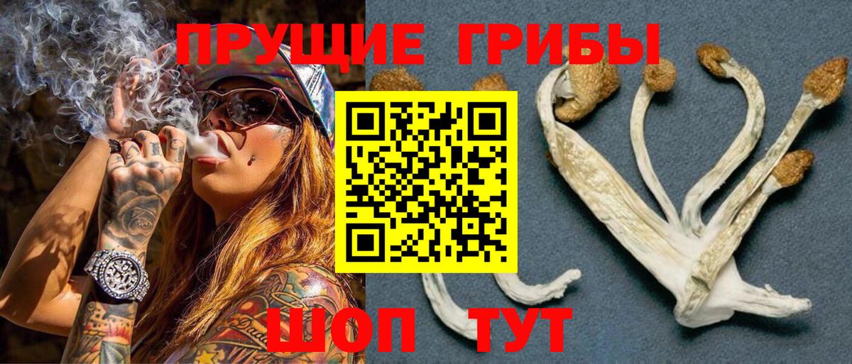 Псилоцибиновые грибы Psilocybe  Вход с VPN  Псилоцибиновые грибы Psilocybine cubensis  Солнечногорск 